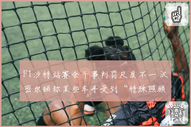 F1沙特站赛会干事判罚尺度不一 汉密尔顿称某些车手受到“特殊照顾”