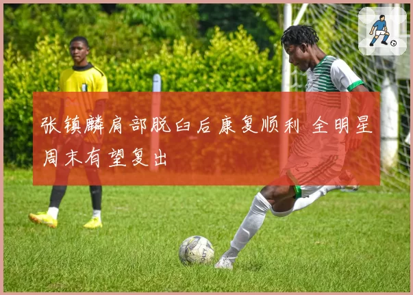 张镇麟肩部脱臼后康复顺利 全明星周末有望复出