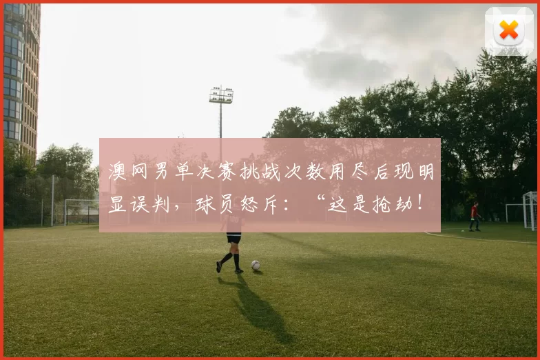 澳网男单决赛挑战次数用尽后现明显误判,球员怒斥:“这是抢劫!”